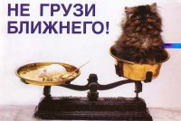 Настена Крот, 13 июня 1988, Могилев, id42957460